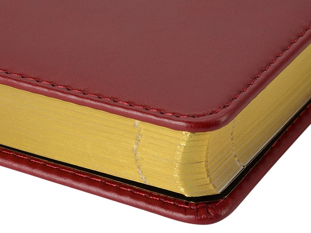 Ежедневник недатированный А5 «Parliament» (27562)