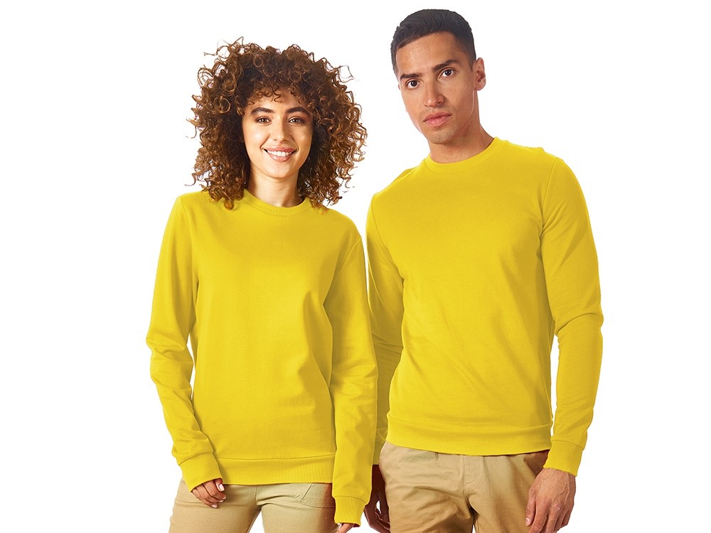 Свитшот «Motion» с начесом, унисекс (2787)