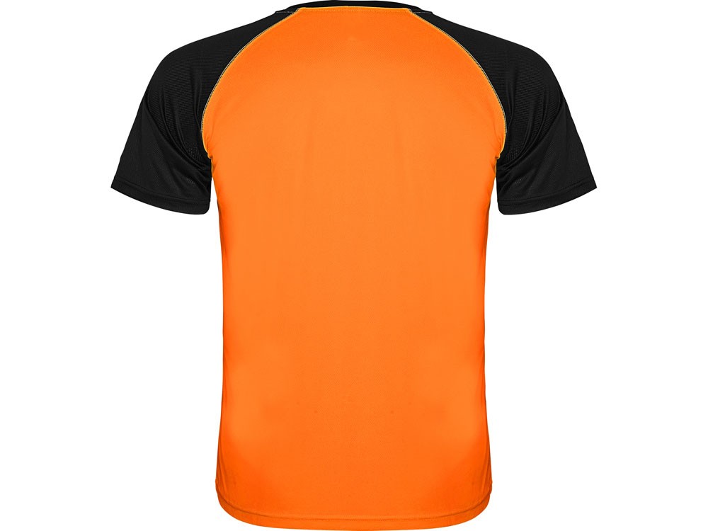 Спортивная футболка «Indianapolis» мужская (27624)