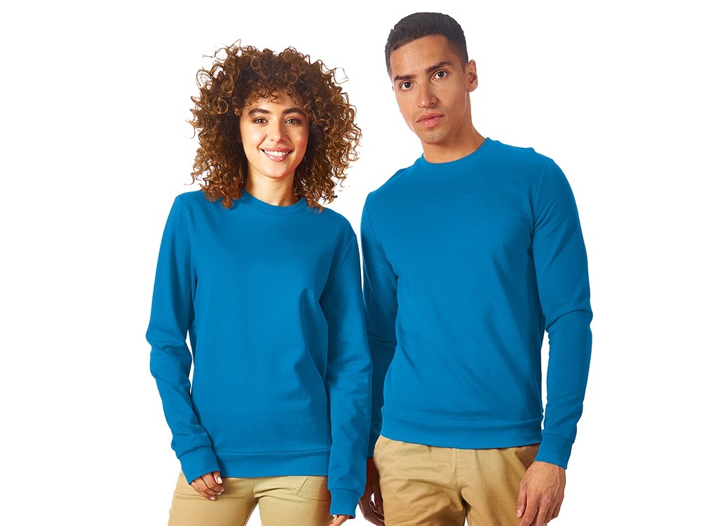 Свитшот «Motion» с начесом, унисекс (2793)