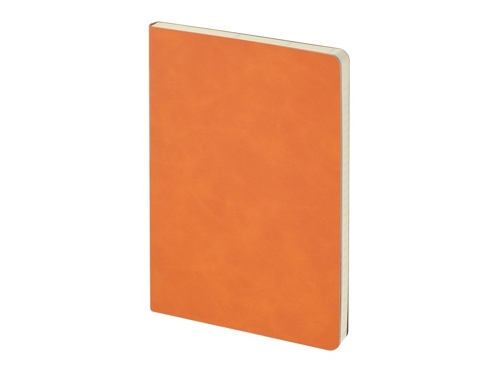 Ежедневник недатированный А5 