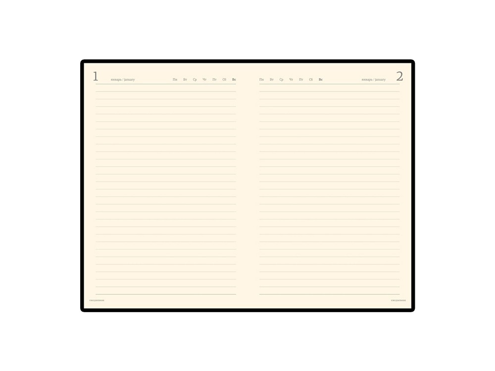 Ежедневник полудатированный портфолио А5 «Profy»