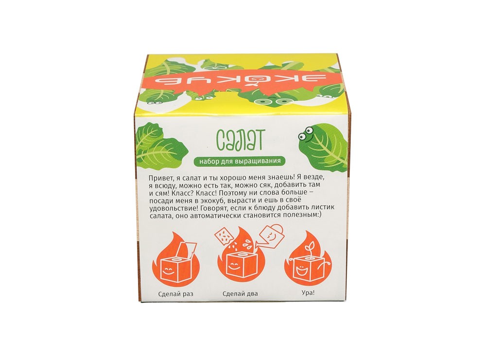 Набор для выращивания «Салат» (28459)