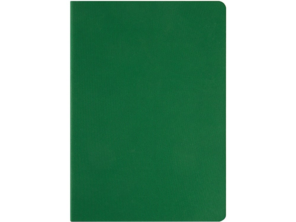 Ежедневник недатированный А5 «Megapolis Color Flex» (28501)