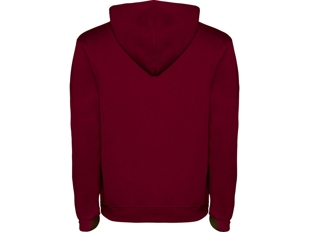 Толстовка с капюшоном «Urban» мужская (28592)