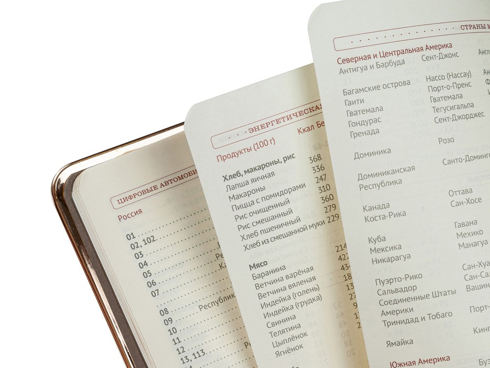 Ежедневник недатированный А5 «Chelsea» (28704)