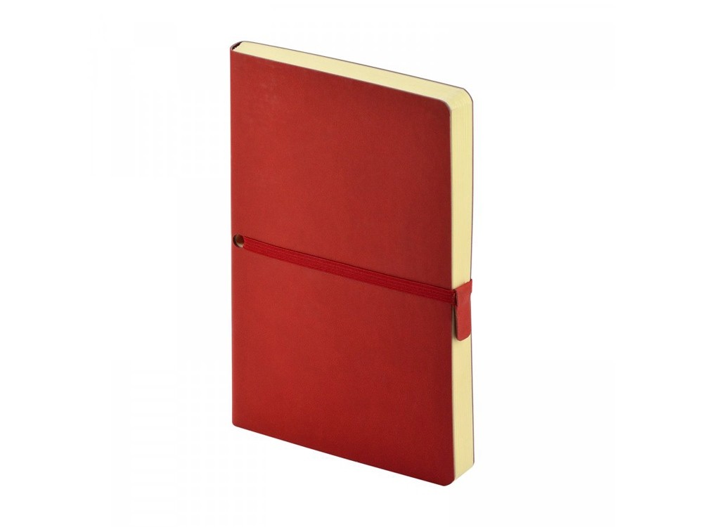 Ежедневник недатированный А5 «Tokyo» (28944)