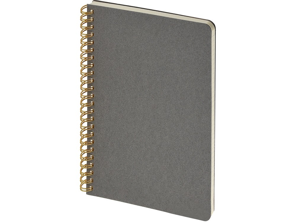 Бизнес тетрадь А5 «Pragmatic» (29364)