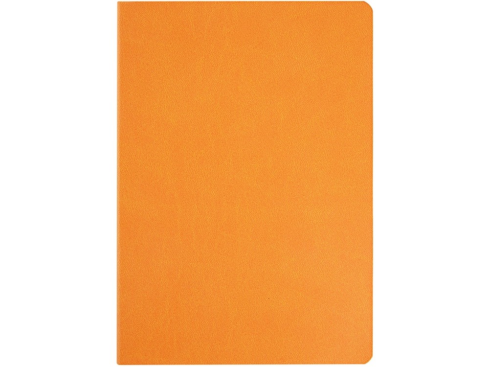 Ежедневник недатированный А5 «Megapolis Color Flex» (29711)