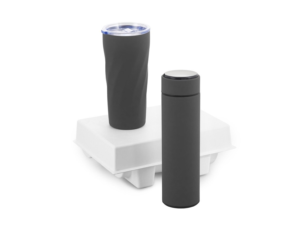 Подарочный набор «FAMILY» с термосом и термокружкой (29825)