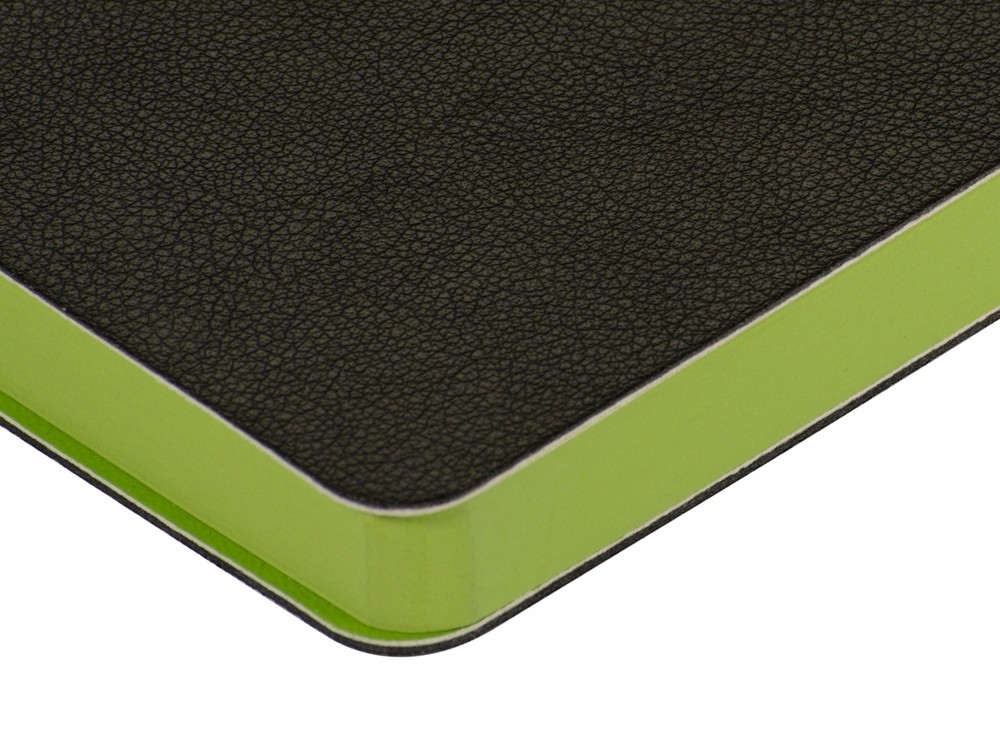 Ежедневник А5 датированный «Boston» на 2026 год (29900)