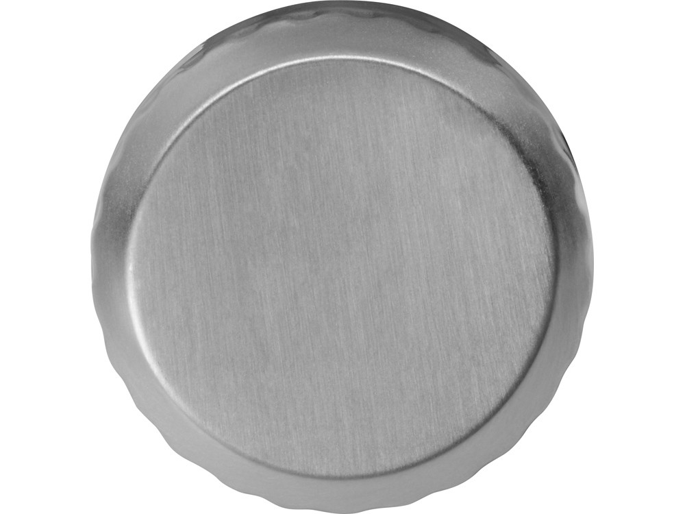 Бутылка для воды «Cogy», 700 мл (30151)