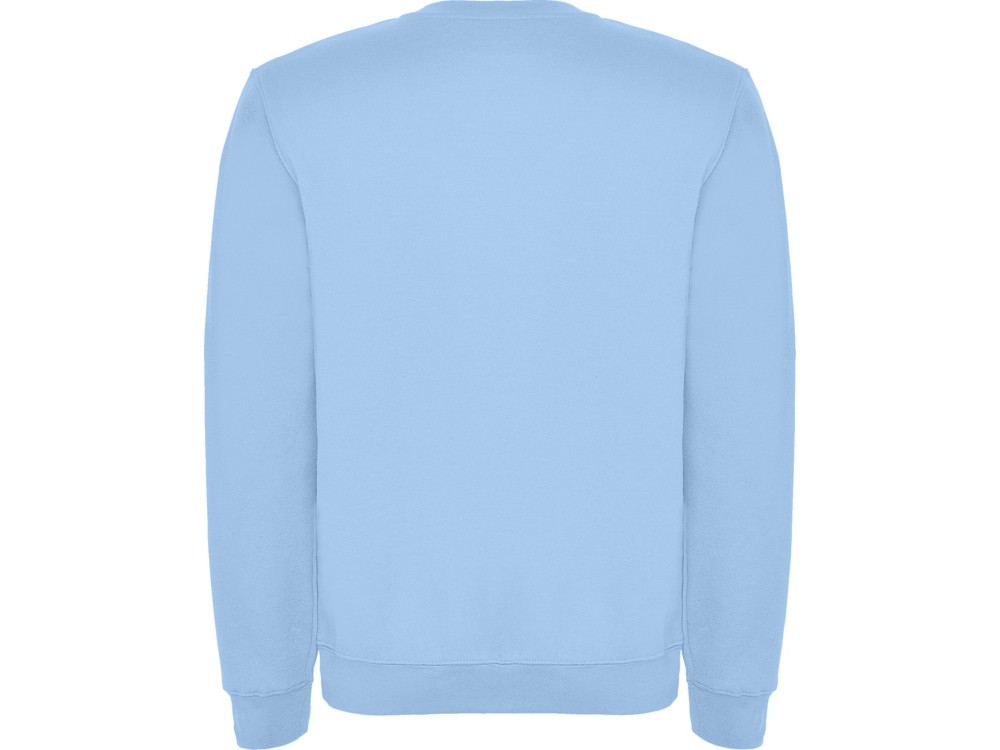 Свитшот с начесом «Clasica» унисекс (30994)