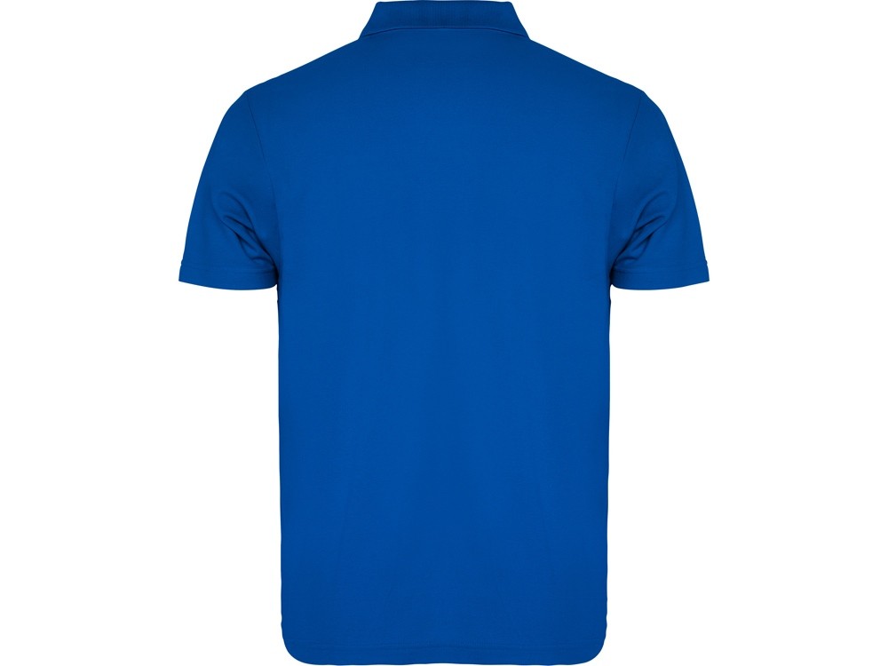 Рубашка поло «Austral» мужская (31036)