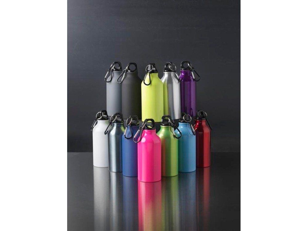 Бутылка «Oregon» с карабином, матовая (31278)