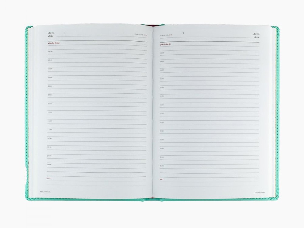 Ежедневник недатированный А5 «Velvet» (31479)