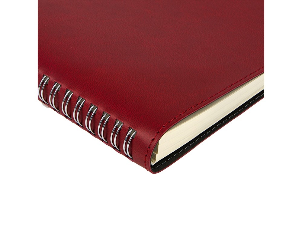 Ежедневник А5 «Tintoretto» (32132)