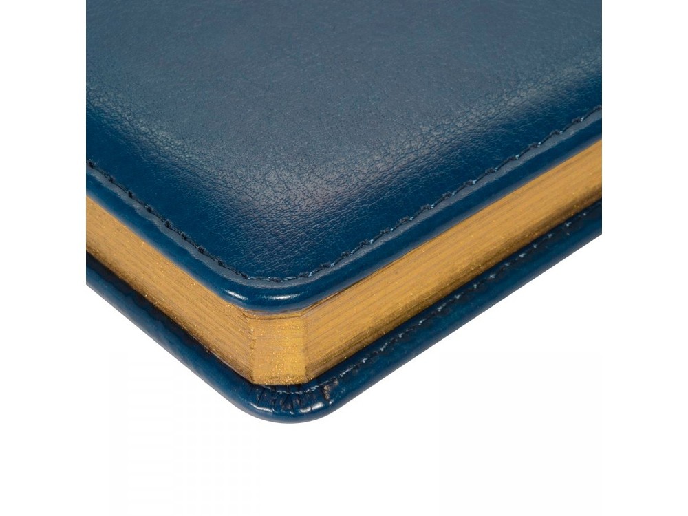 Ежедневник недатированный А6+ «Sidney Nebraska» с золотым срезом (32521)