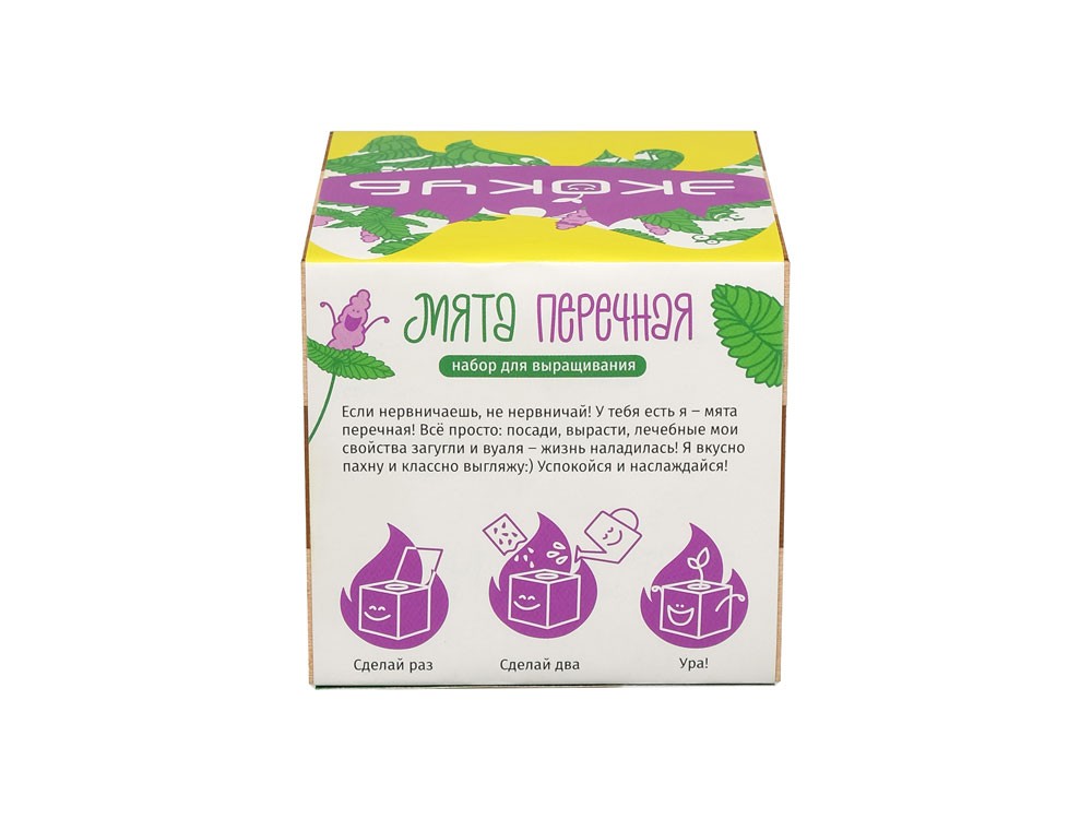 Набор для выращивания «Мята» (32695)