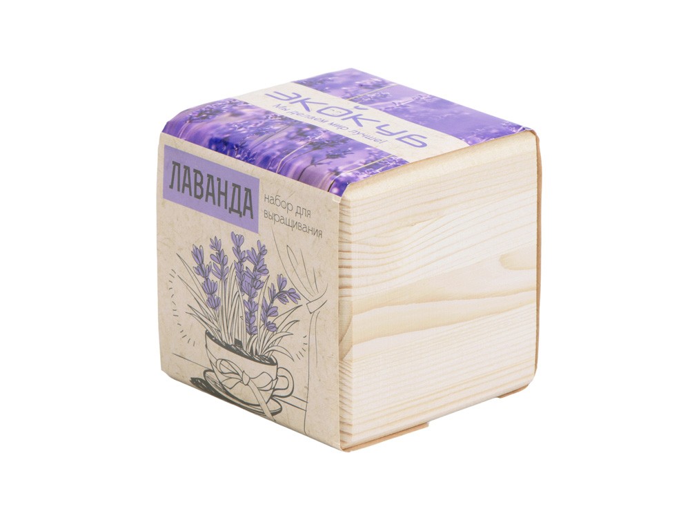 Набор для выращивания «Лаванда» (32696)