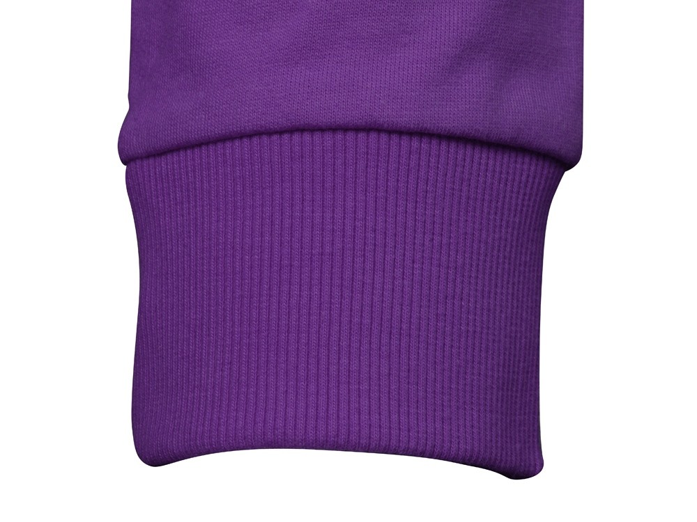 Свитшот «Motion» с начесом, унисекс (33616)