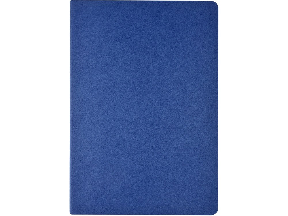 Бизнес тетрадь А5 «Pragmatic» (33764)