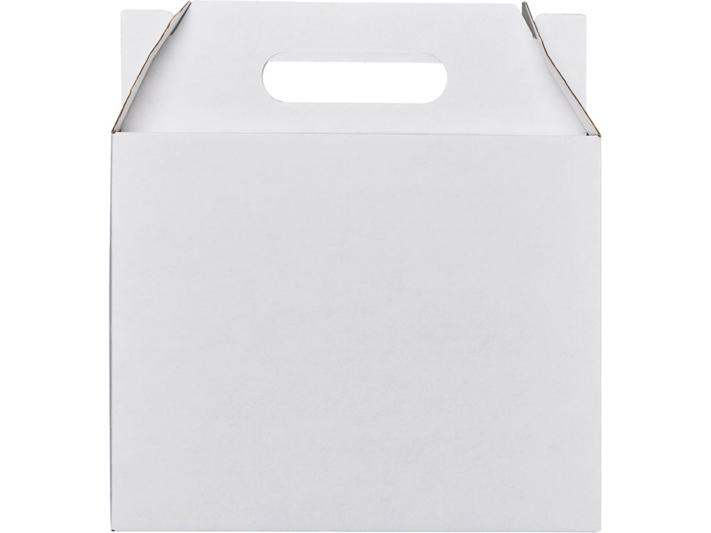 Коробка подарочная «Тоут», M (33821)