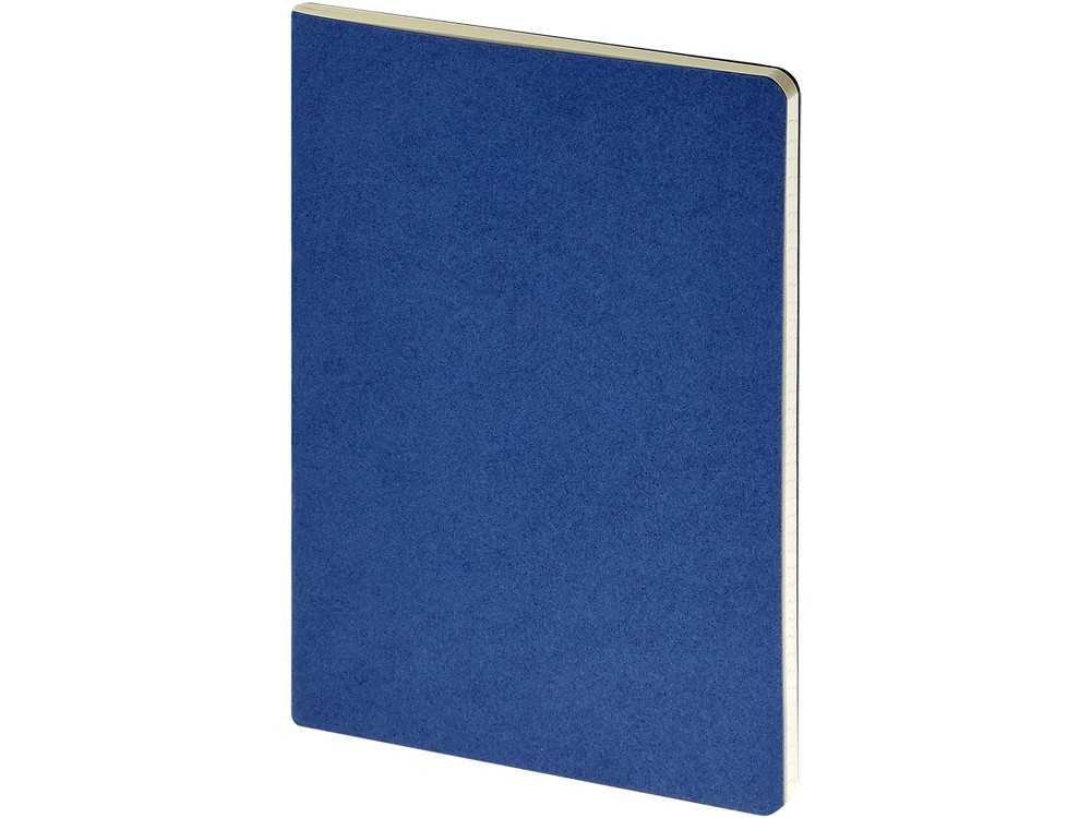 Бизнес-тетрадь А4 «Pragmatic» (33945)