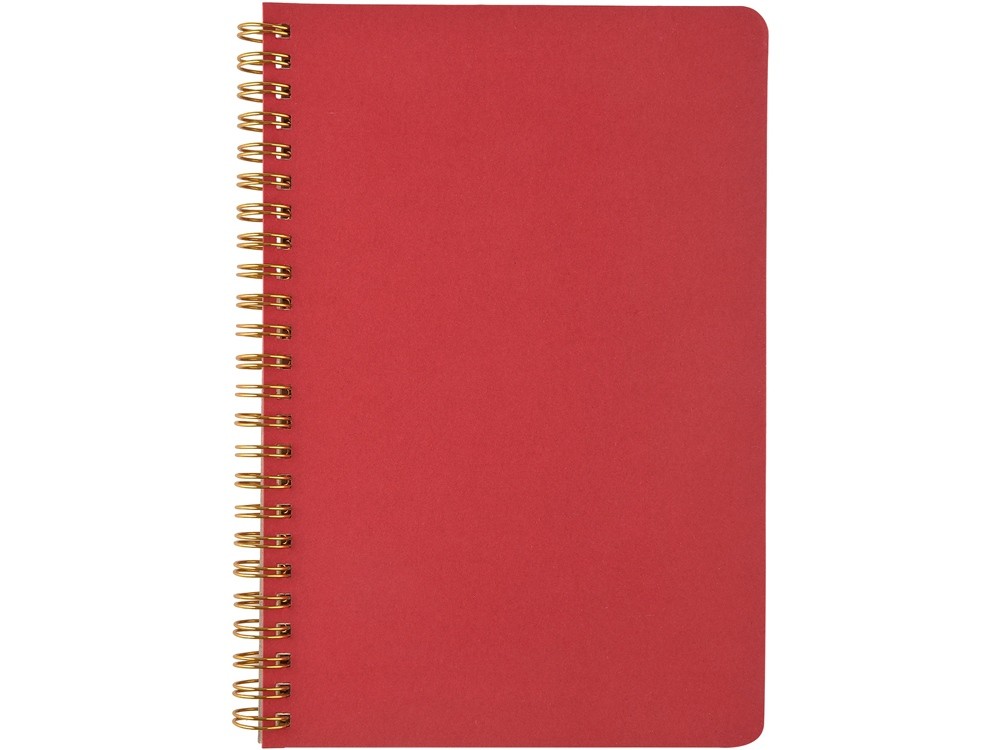 Бизнес тетрадь А5 «Pragmatic» (34095)