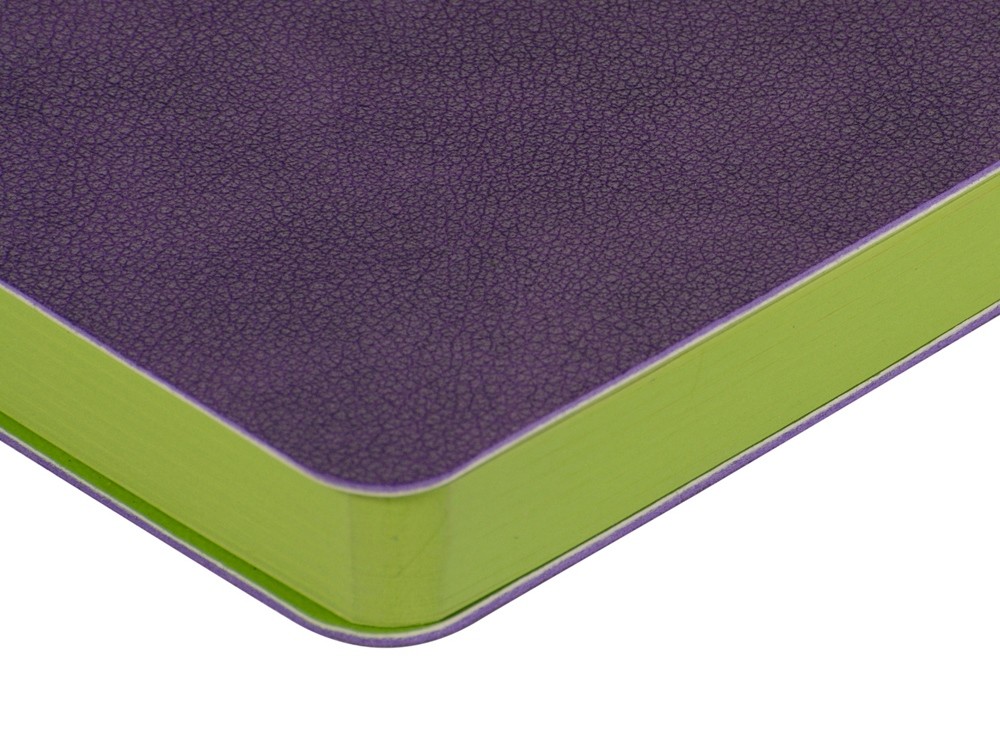 Ежедневник А5 датированный «Boston» на 2026 год (34190)