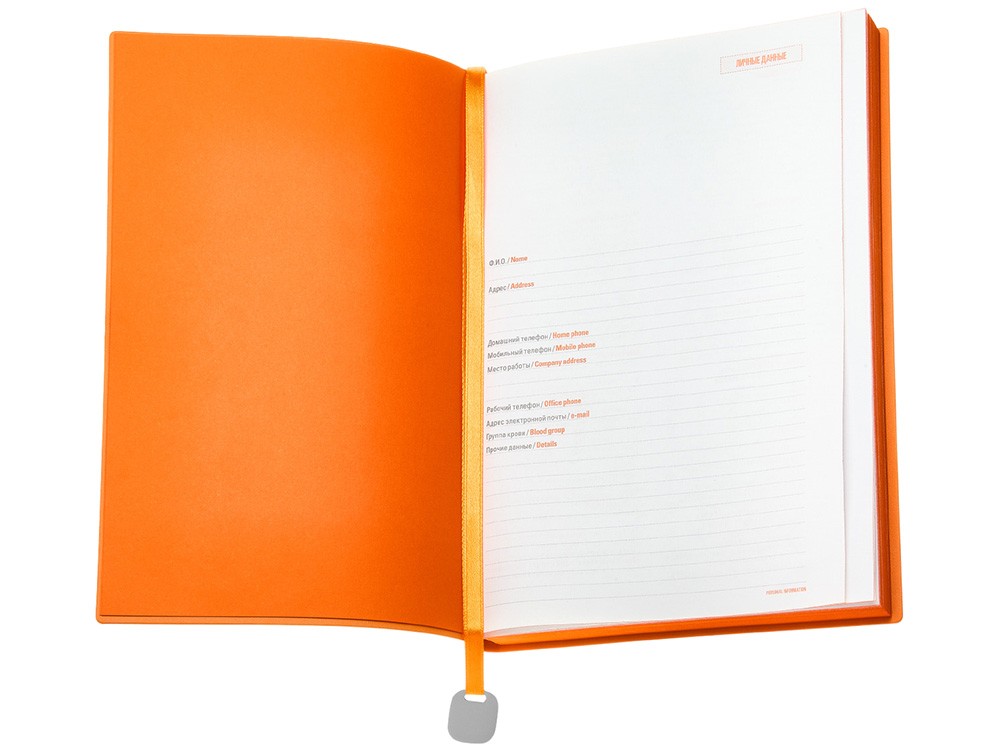 Ежедневник недатированный А5 «Mercury» (34552)