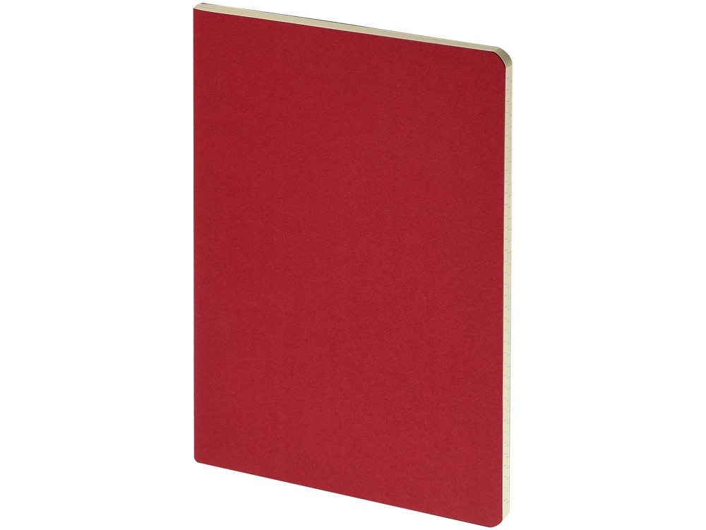 Бизнес тетрадь А5 «Pragmatic» (34674)