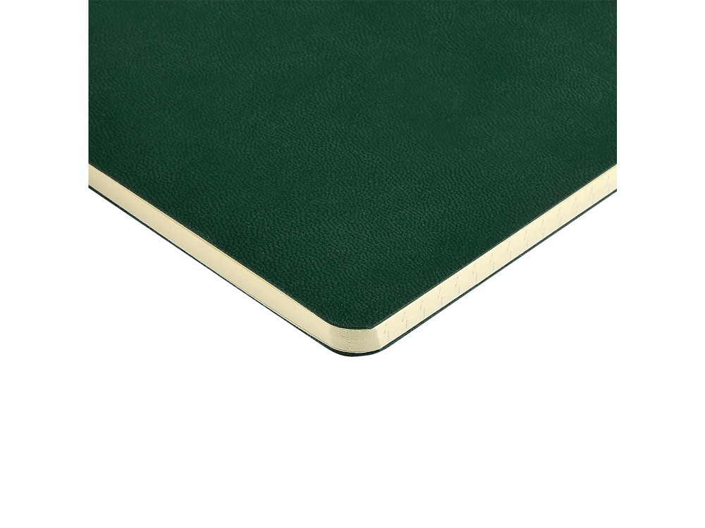 Бизнес тетрадь А5 «Megapolis Velvet flex» soft touch (34799)