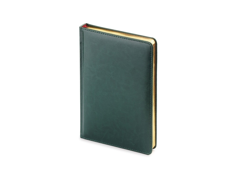 Ежедневник недатированный А5 «Sidney Nebraska» с золотым срезом (34819)