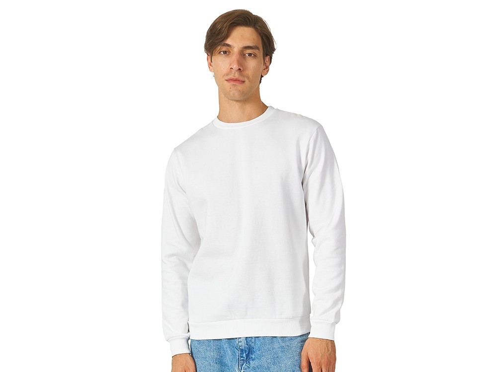 Толстовка «Rome» мужская (4229)