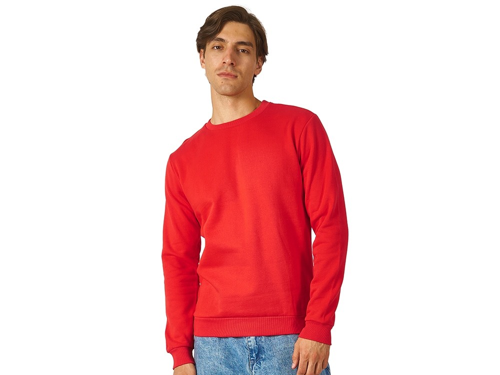 Толстовка «Rome» мужская (4242)