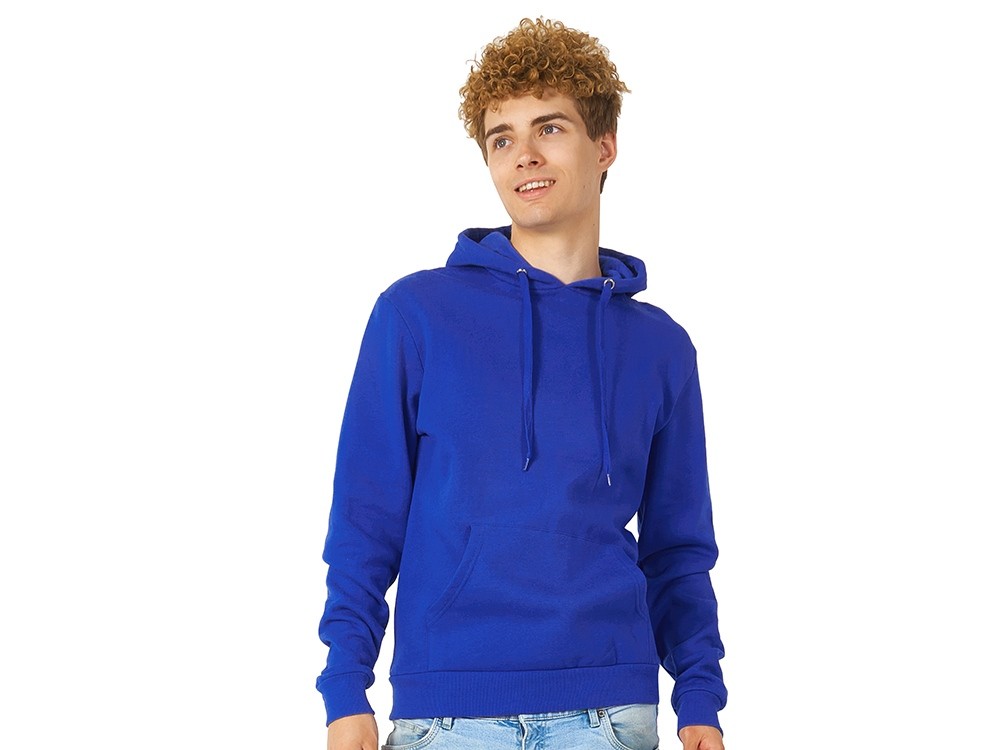 Толстовка с капюшоном «Amsterdam» мужская (4268)