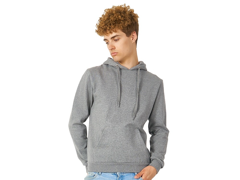 Толстовка с капюшоном «Amsterdam» мужская (4282)