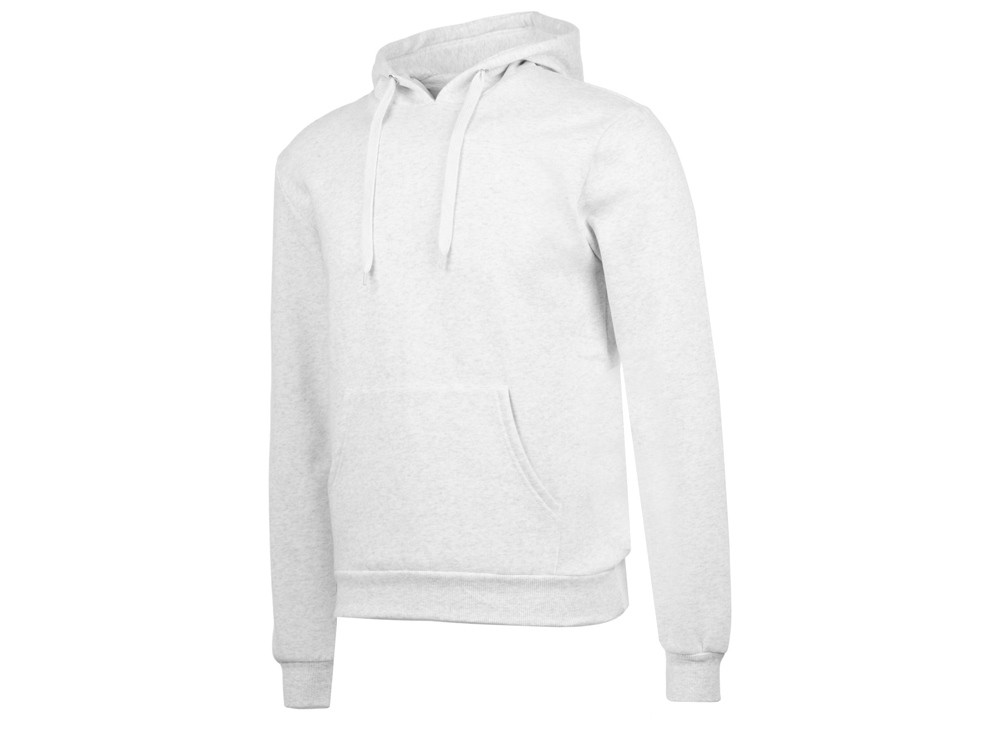 Толстовка с капюшоном «Amsterdam» мужская (4297)