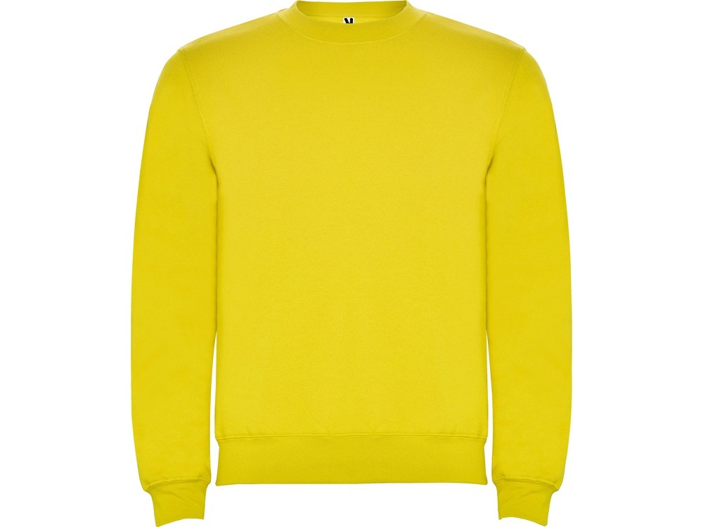 Свитшот с начесом «Clasica» унисекс (9052)