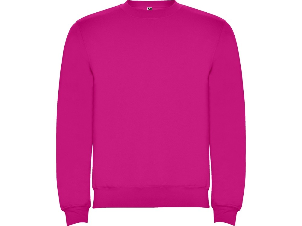 Свитшот с начесом «Clasica» унисекс (9053)