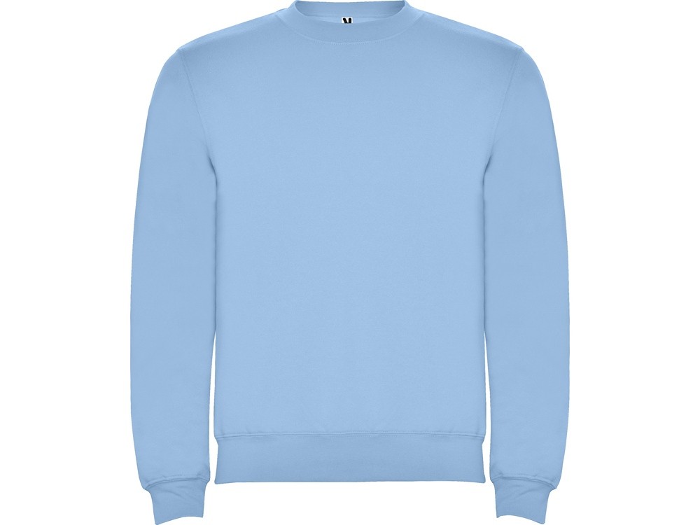 Свитшот с начесом «Clasica» унисекс (9056)