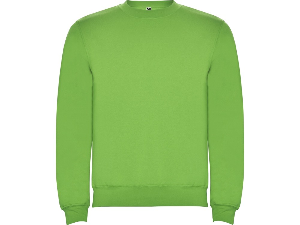 Свитшот с начесом «Clasica» унисекс (9060)