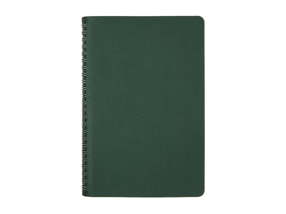 Ежедневник недатированный А5 «Alba» (21547)