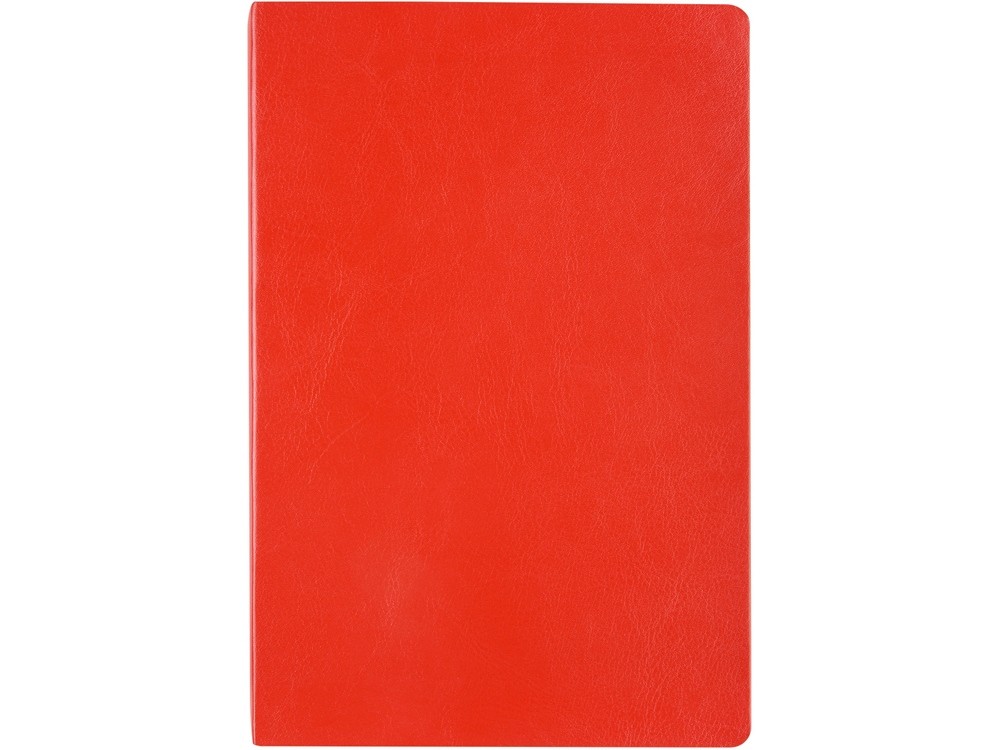 Ежедневник недатированный А5 «Megapolis Nebraska Flex» (21673)