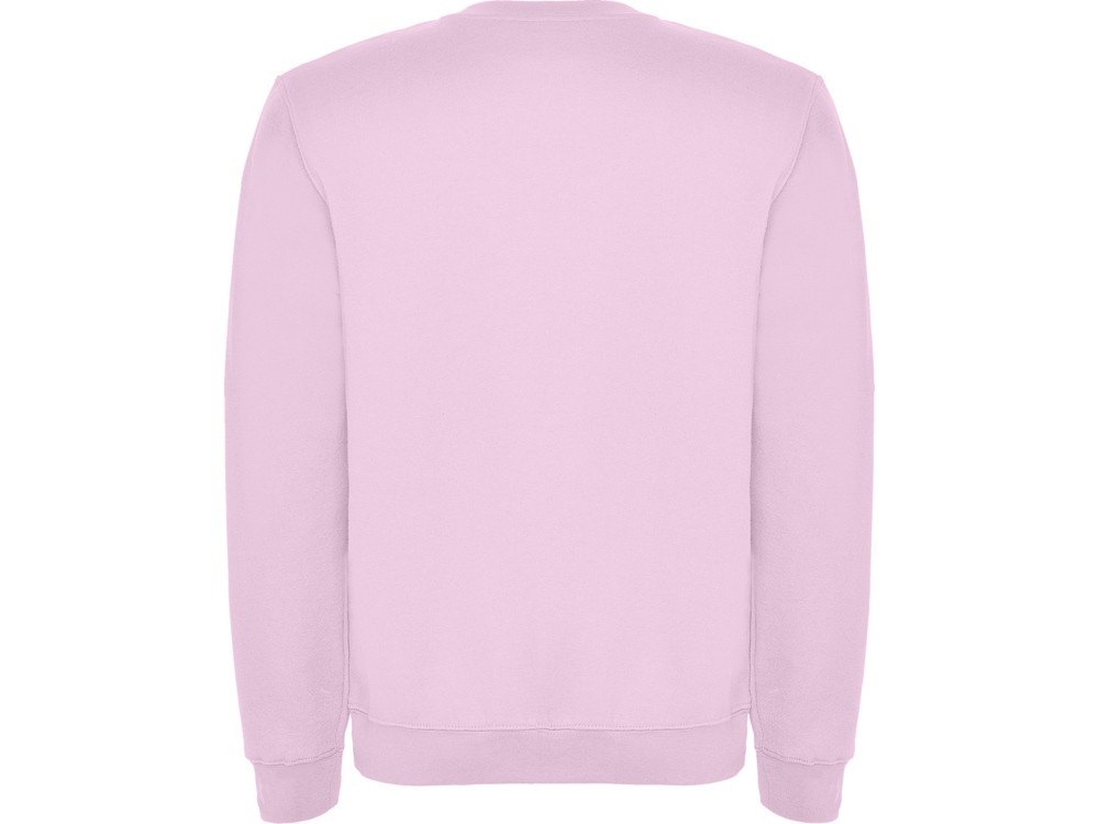 Свитшот с начесом «Clasica» унисекс (22874)