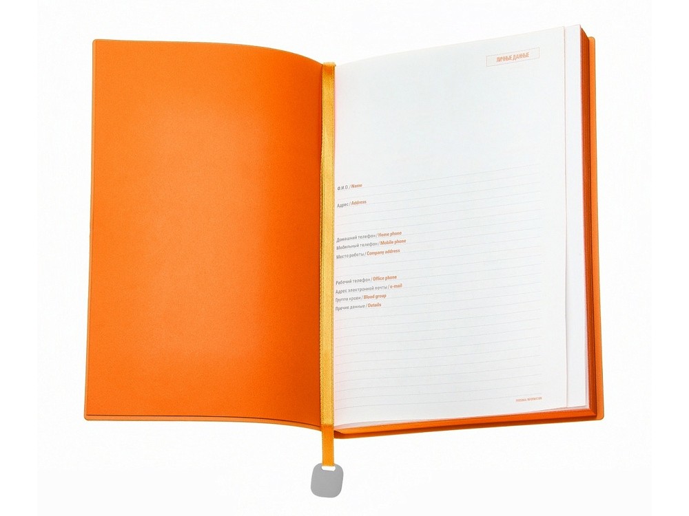 Ежедневник недатированный А5 «Mercury» (23418)