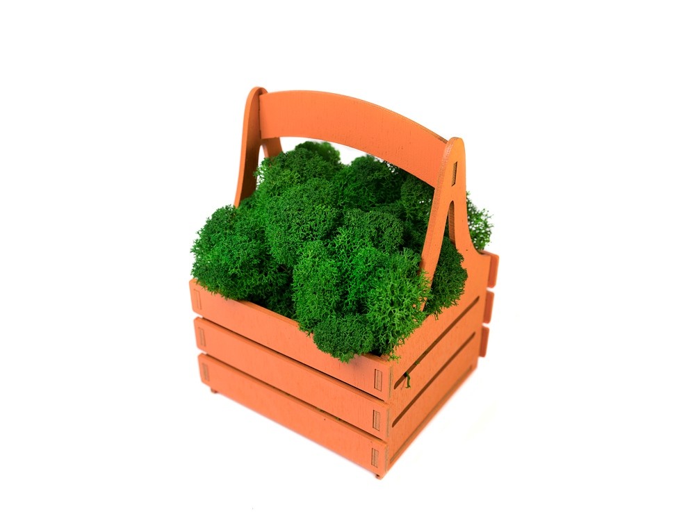 Композиция «Корзинка со мхом» (24196)