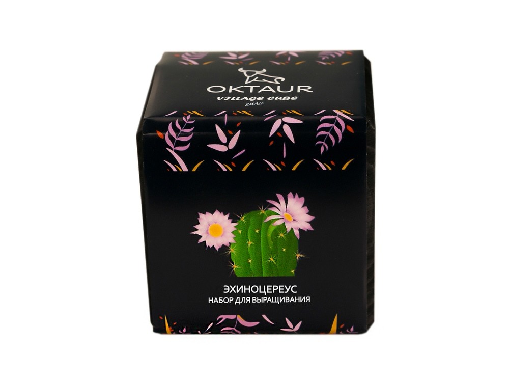 Набор для выращивания «Small village cube «Эхиноцереус» (24524)