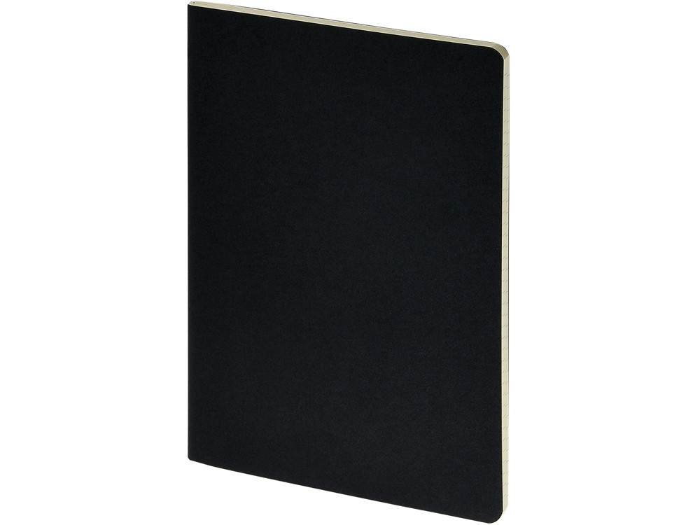 Бизнес-тетрадь А4 «Pragmatic» (24653)